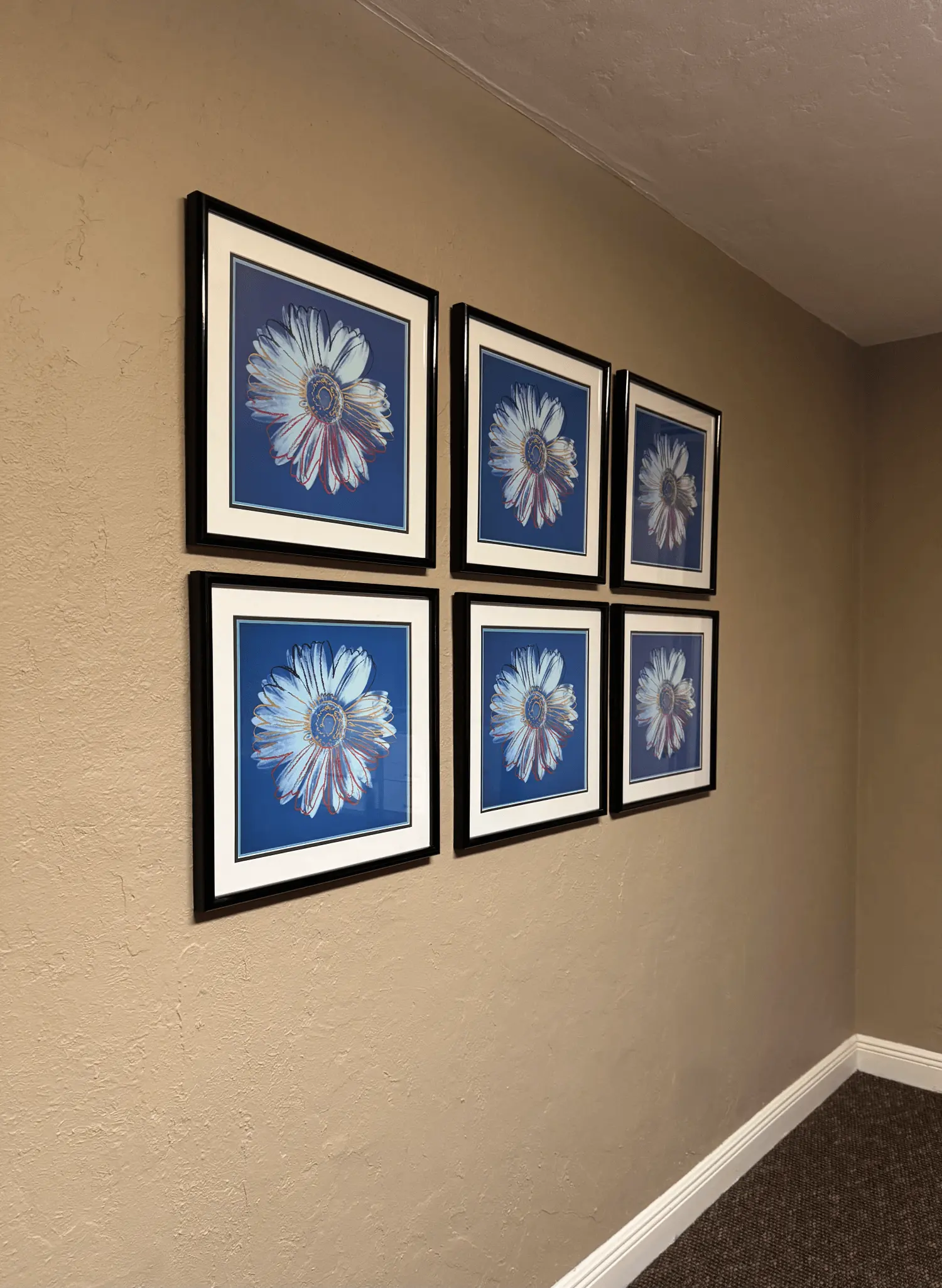 Blue daisy media contact hero image